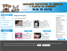 Tablet Screenshot of gatosdeapapa.org